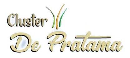cluster-de-pratama-logo-ls
